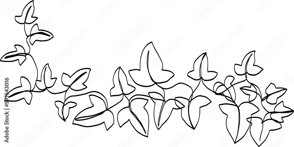 Naklejka premium simplicity ivy continuous freehand drawing.