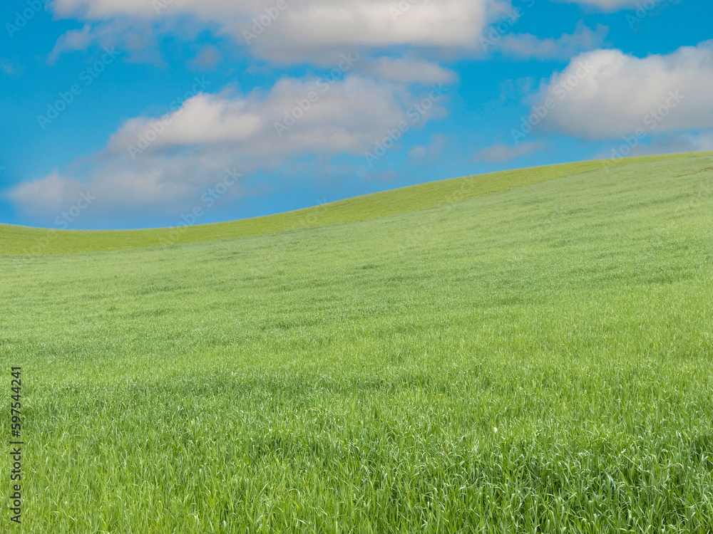 Naklejka premium L'idée