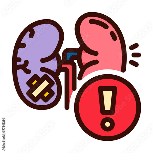 Kidney Icon