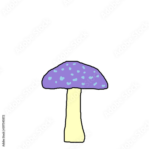 colorful mushrooms photo