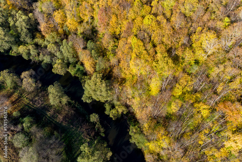 Autumn forest on the bank of a small river, aerial view