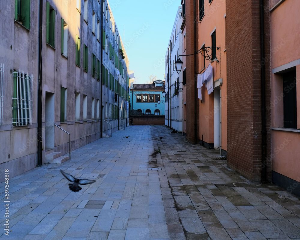 Pigeon flying in narrow street 