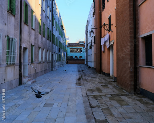 Pigeon flying in narrow street 