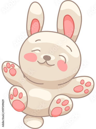 Cute Bunny Character