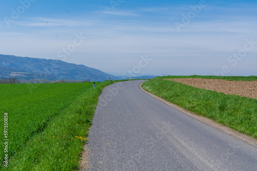 Empty road on a sunny summer day