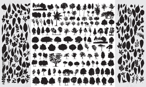 set of tree silhouettes collection