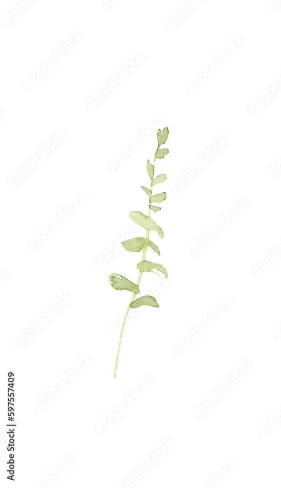 Watercolor greenery clipart. Leaf png image. Eucalyptus leaf Watercolor greenery clipart. Leaf png image. Eucalyptus leaf