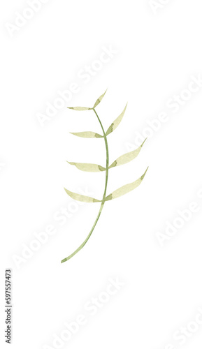 Watercolor greenery clipart. Leaf png image.