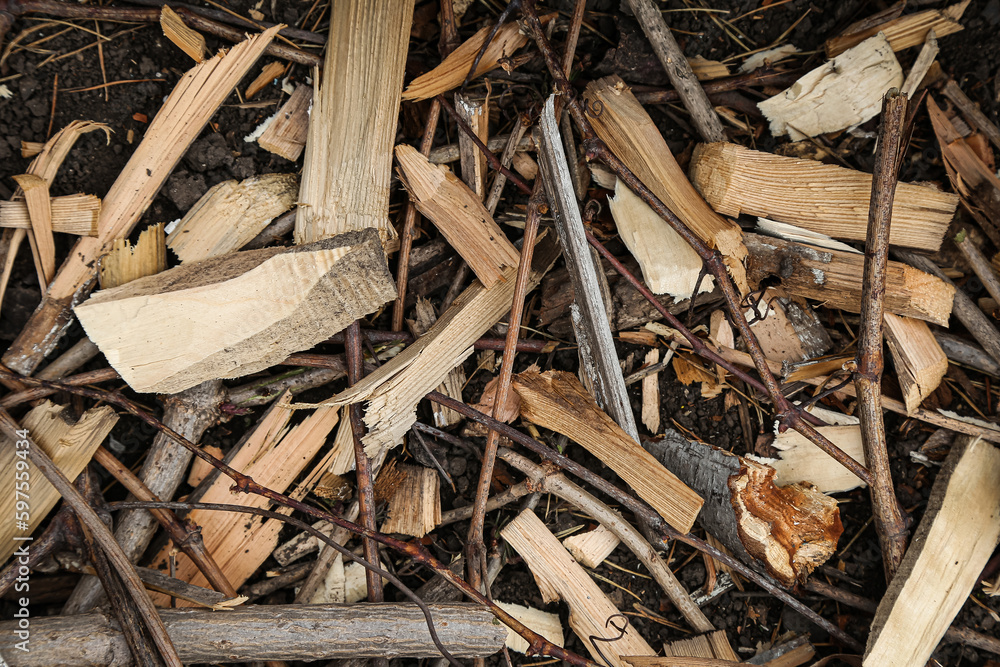 Texture of wood shavings, wooden background, top view. background for photo Texture of wood shavings, wooden background, top view. background for photo