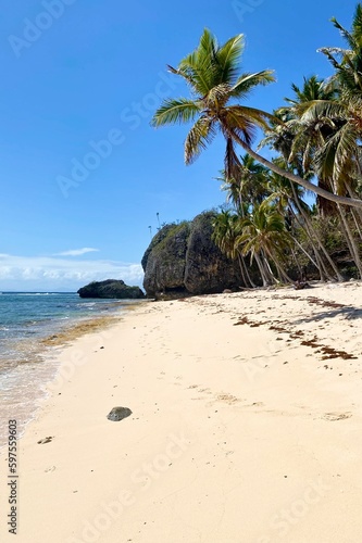 beautiful white sand beach Playa Fronton in Las Galeras  Samana  Dominican Republic