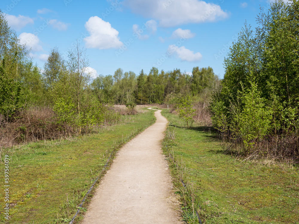 Fototapeta premium Path through a nature reserve with grass and trees