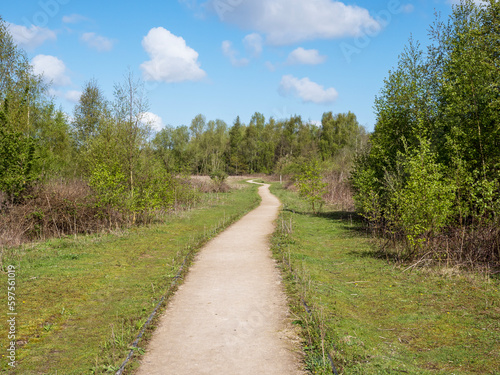 Path through a nature reserve with grass and trees