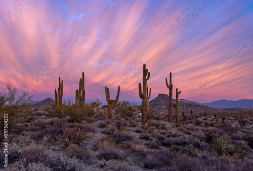 Colorful Pink Sunrise Skies   Clouds In The Arizona Desert Near Scottsdale