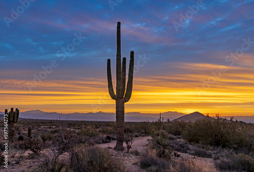 Sunrise Sky Along A Hiking Trail In Arizona Near Phoenix