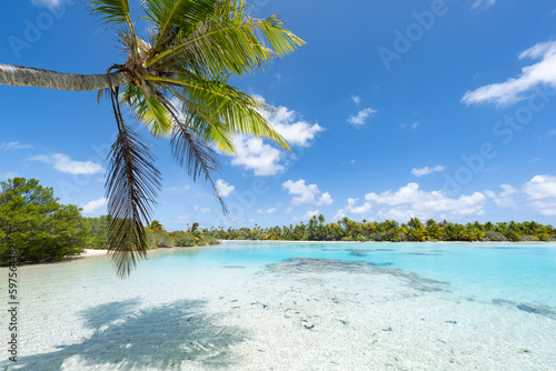 Blue lagoon with palm tree and turquoise water