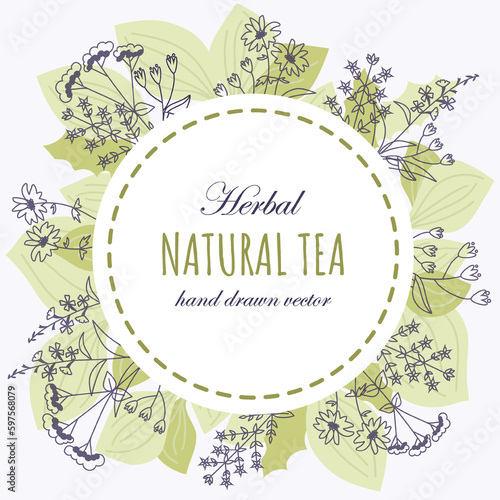 Round floral frame,  wild field flower isolated on white background, hand drawn sketch vector illustration Urtica dioica for design package tea, cosmetic, natural medicine, decorative label