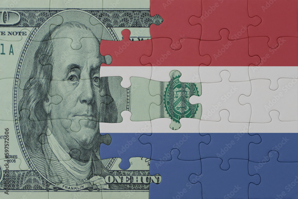 puzzle with the national flag of netherlands and dollar money banknote. macro.concept.