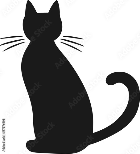 Black cat draw