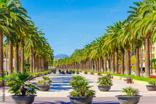 Photography Promenade view with palm trees in Salou, Catalonia, Spain, Europe