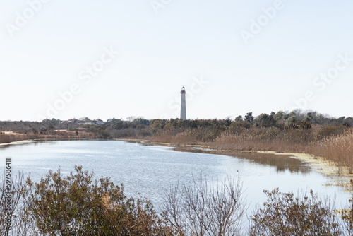 This is the look of the Cape May point lighthouse from the birdwatching nature preserve close by. I love the look of the pond in this landscape picture and the brown look of all the foliage.