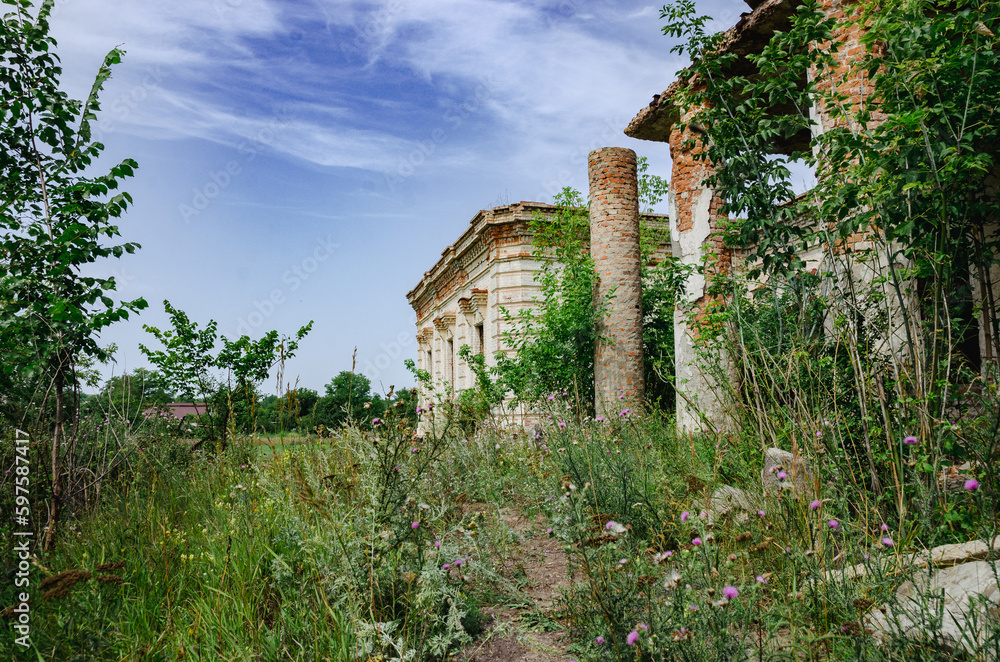 The ruins of the ancient Falzfein castle in the Kherson region, Ukraine. Landscape.