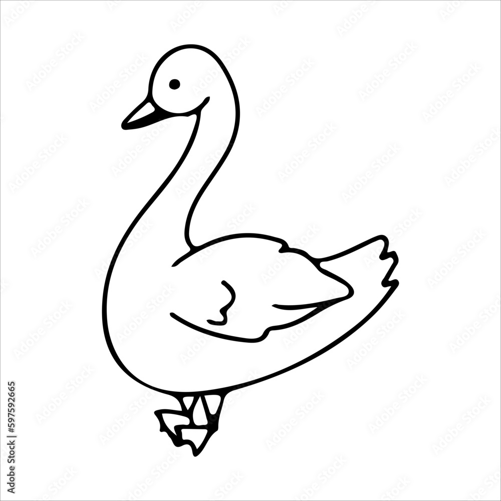 Goose Line. Duck. Domestic birds. Cute animal. Livestock, animal, Farming. Farm. Vector illustration isolated on white background. Goose Line. Duck. Domestic birds. Cute animal. Livestock, animal, Farming. Farm. Vector illustration isolated on white background.