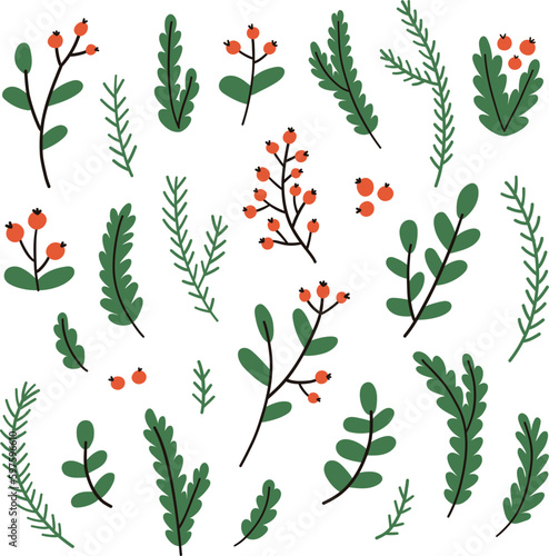 Hand drawn winter branches and leaves. Vector elements.