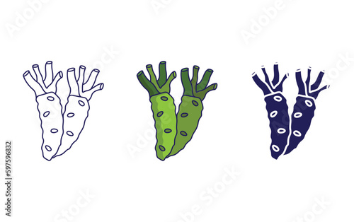 Wasabi vector icon