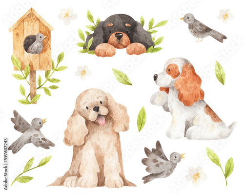 American cocker spaniel. Spring watercolor set of illustrations. Isolated design elements on white background. Hand-drawn dogs, birds, birdhouse