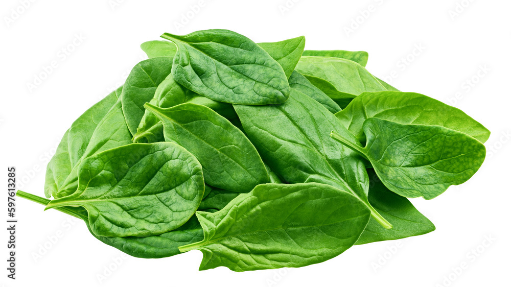 Spinach isolated on white background, full depth of field Spinach isolated on white background, full depth of field