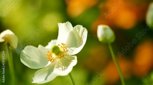 Anemone flower with butterfly. Illustration AI Generative.