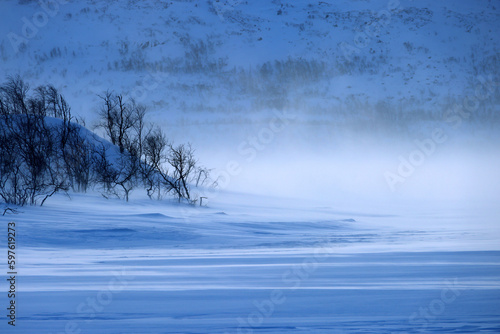 Stormy windy winter landscape in Lapland, Enontekio, Finland, Europe