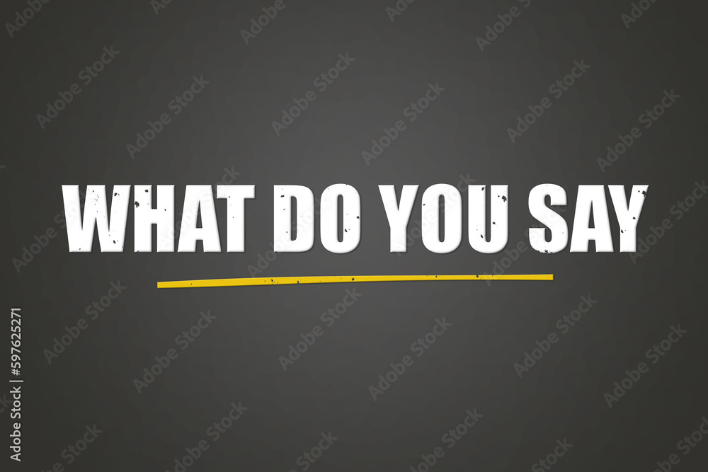 Obraz premium What do you say. Phrase in white text, isolated on Grey background.