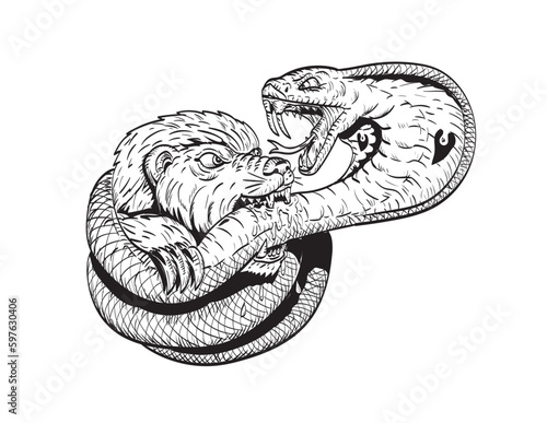 Comics style drawing or illustration of a honey badger fighting biting a king cobra snake on isolated background in black and white retro style.