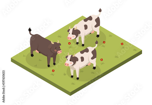 Lawn with cows