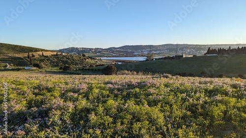 Obraz na plátně A picture of the vast green fields as they begin to turn yellow with the onset of summer, Tangier, Morocco