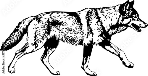 Illustration of revolver in drawing stencil style.
