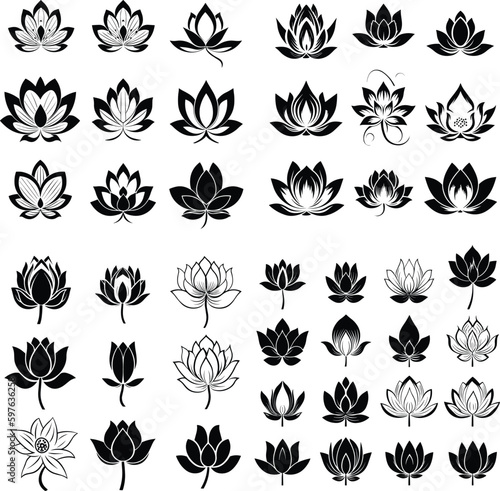 flower lotus illustration floral vector nature silhouette design pattern tattoo abstract art decoration 