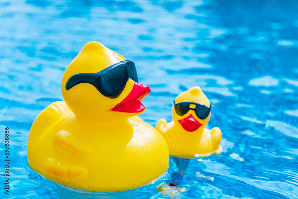 A serene photo capturing the perfect summer day with a vibrant swimming pool as the main focus, charmingly accompanied by a delightful duck enjoying a cool swim. A must-see for all nature and aquatic