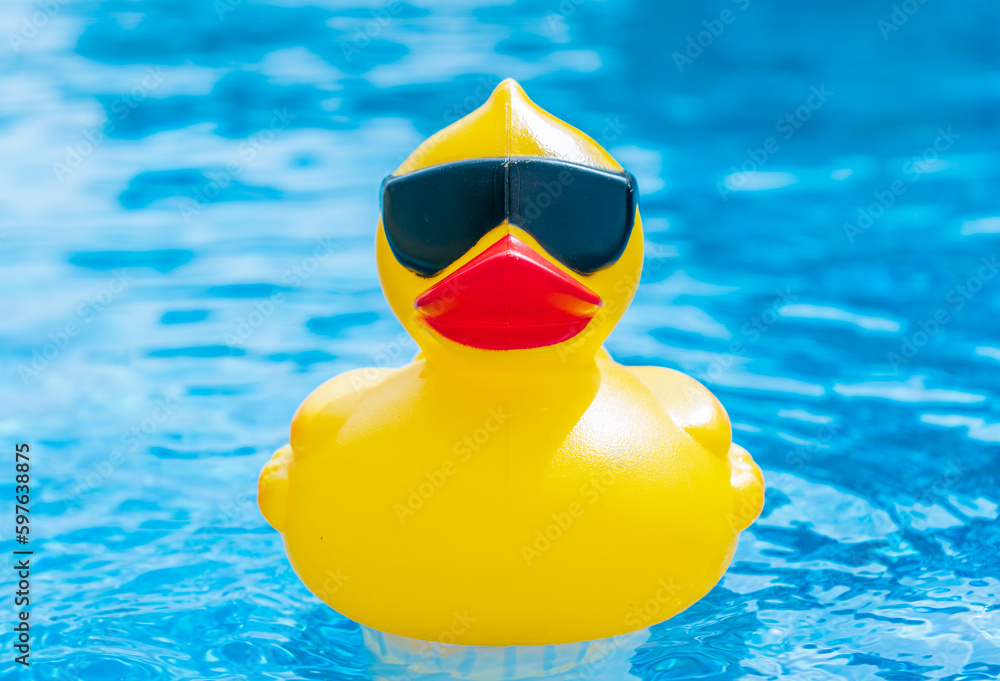 A serene photo capturing the perfect summer day with a vibrant swimming pool as the main focus, charmingly accompanied by a delightful duck enjoying a cool swim. A must-see for all nature and aquatic