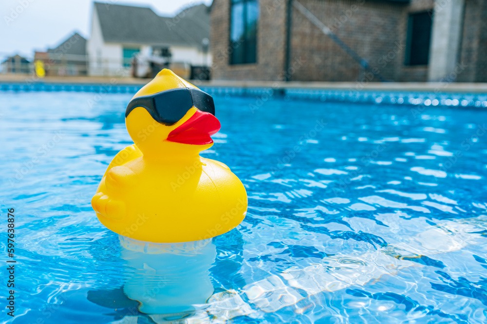 A serene photo capturing the perfect summer day with a vibrant swimming pool as the main focus, charmingly accompanied by a delightful duck enjoying a cool swim. A must-see for all nature and aquatic