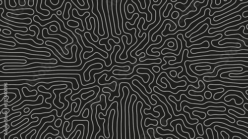 Complicated Thin Lines Pattern Vector Psychedelic Crazy Art Abstract Background. Intricate Ripple Structure Panoramic Black White Wallpaper. Hypnotic Abstraction. Line Art Graphic Modern Illustration