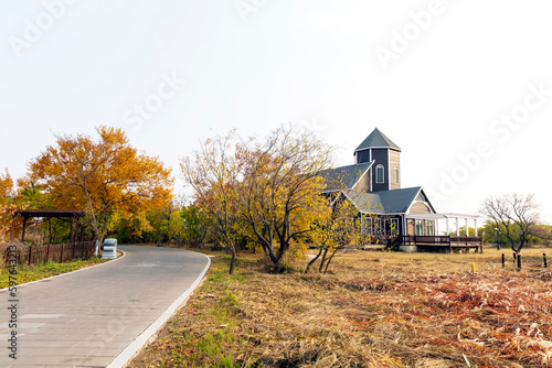 Wood villas in autumn