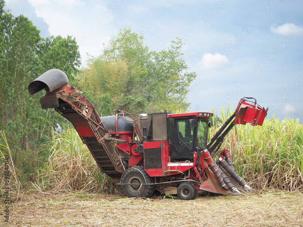 Obraz premium Sugarcane harvester machine. Closeup photo, blurred.