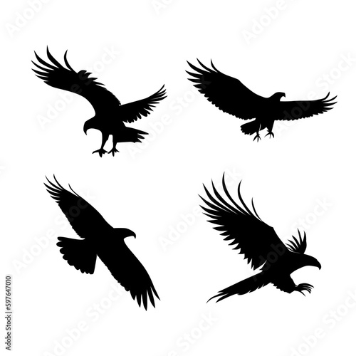 eagle animal silhouette illustration collection © mdpz art