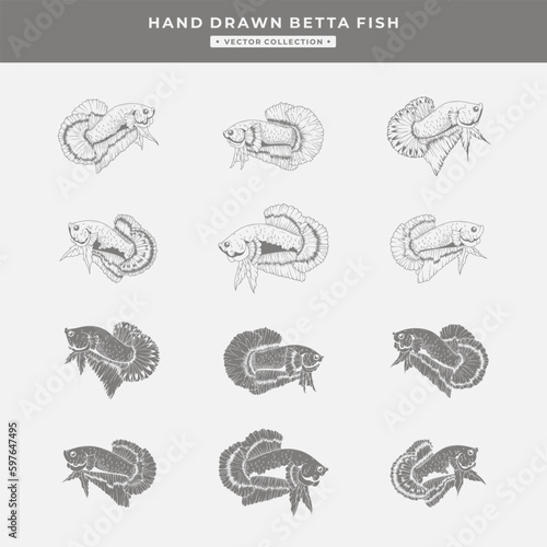 hand drawn betta fish collection