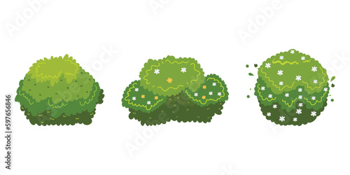 Illustration of bush for decorate the garden beautifully. Ornamental plant shrub for decorate of a park, a garden or a green fence. Thick thickets of shrubs. Foliage for spring and summer card design.