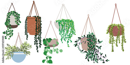 set of hanging plants