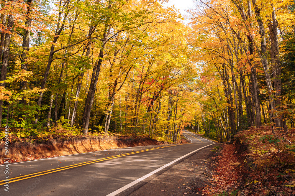 Autumn's Path: A Scenic Drive through Vibrant Fall Foliage