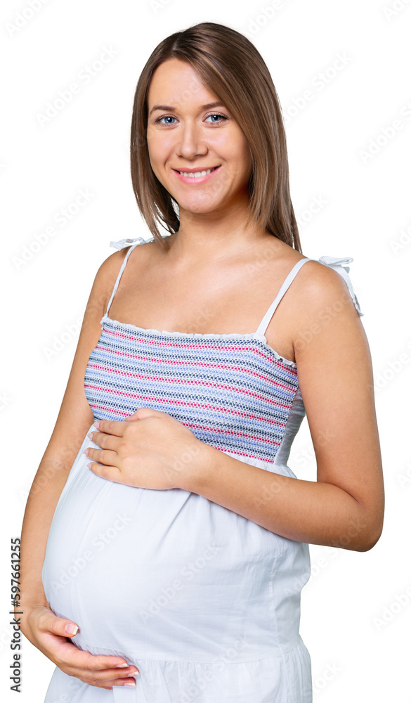 Portrait of a Pregnant Woman Portrait of a Pregnant Woman